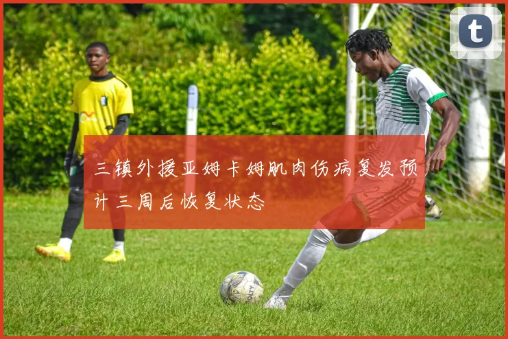 三镇外援亚姆卡姆肌肉伤病复发预计三周后恢复状态